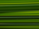 500 grams 591-024 (6-7 mm) Dark Grass Green 18.59 €/kg