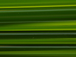 500 grams 591-024 (4-5 mm) Dark Grass Green 24.21 €/kg