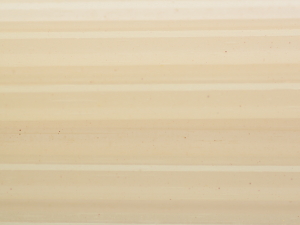 250 grams 591-320 (5-6 mm) Ivory 45.41 €/kg